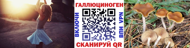 купить наркоту  Холм  Псилоцибиновые грибы мухоморы 