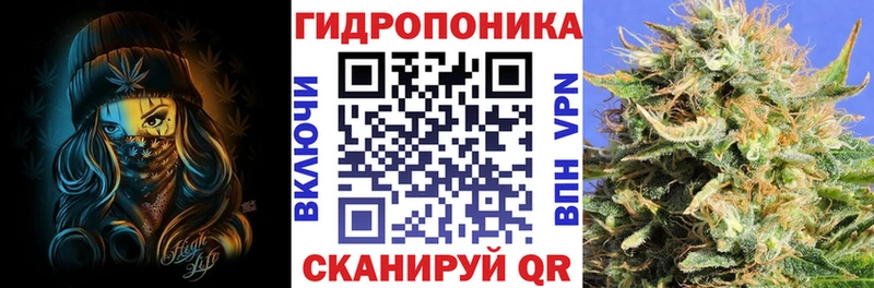 что такое   Холм  Конопля OG Kush 